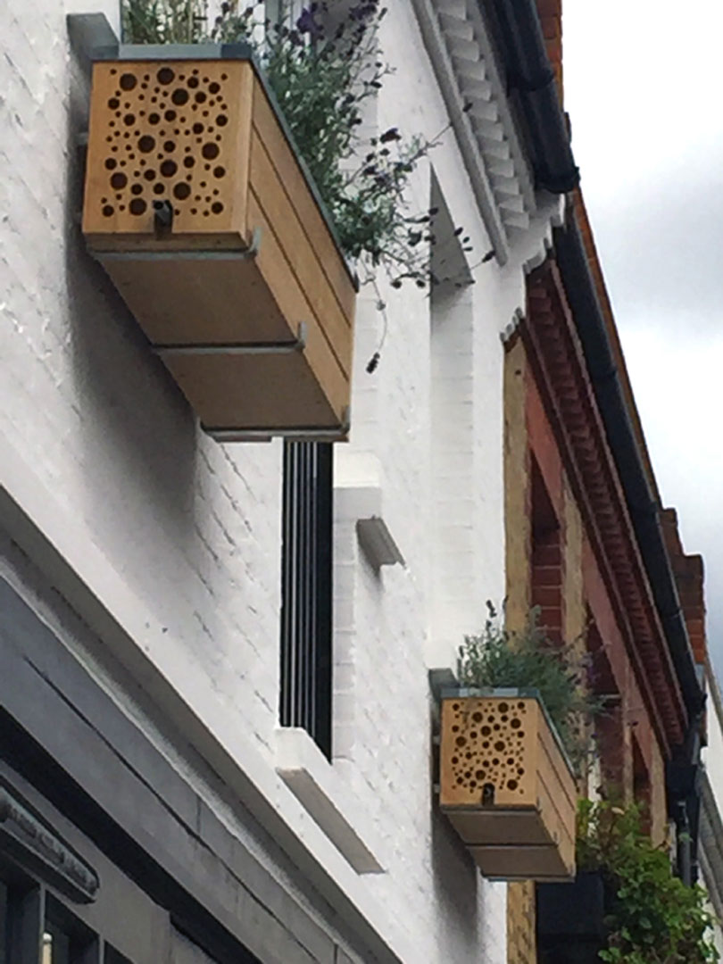 126-Pavilion-Road_bird_box