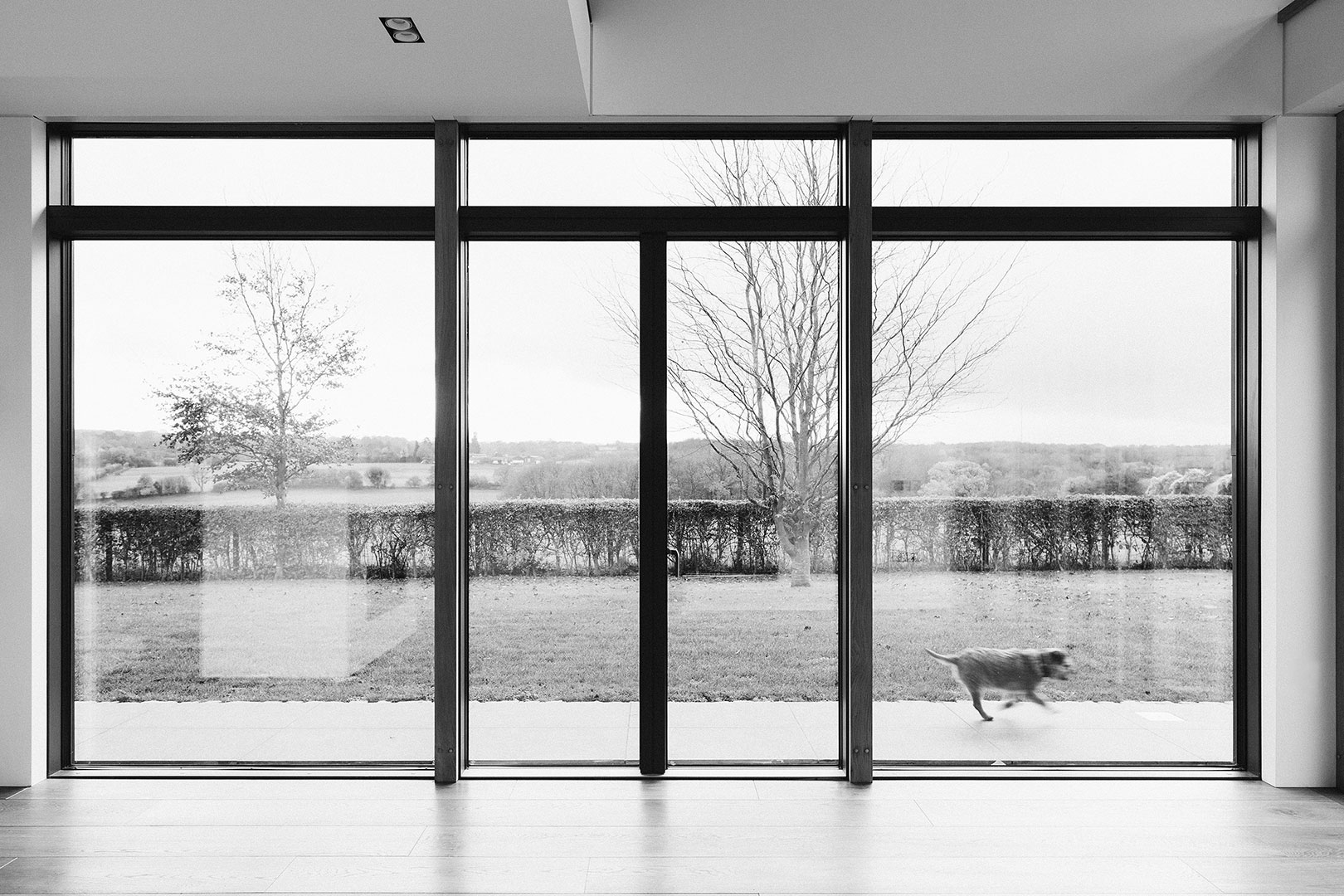 Hill-View-Farm_David-Norman_8
